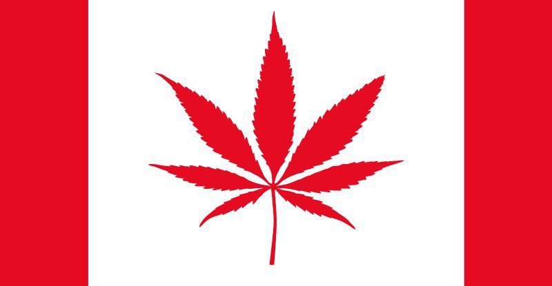canada flag as pot leaf